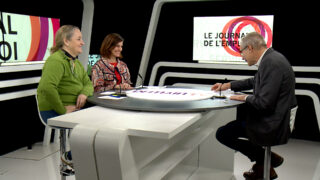 Inclusion professionnelle des personnes en situation de handicap