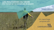 : Paul Delacour développe la Ferme de la Distillerie et ses circuits courts autour de la moutarde du Vexin.