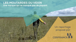 : Paul Delacour développe la Ferme de la Distillerie et ses circuits courts autour de la moutarde du Vexin.
