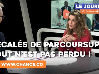 Orientation des jeunes exclus de Parcoursup : quelles solutions ?